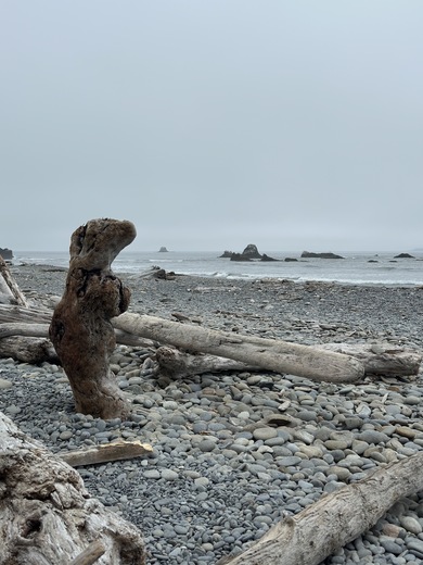 Olympic National Park