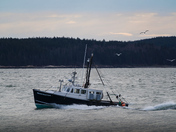 Acadia National Park