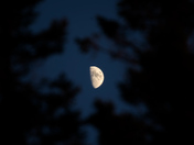 Acadia National Park