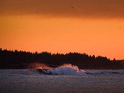 Acadia National Park
