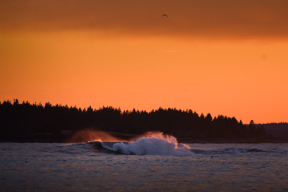 Acadia National Park