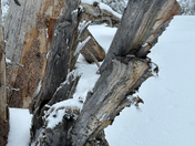 Lake Tahoe Basin Management Unit