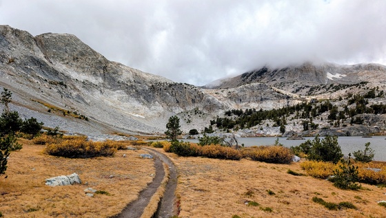 Inyo National Forest