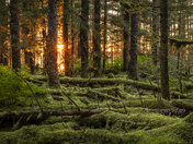 Glacier Bay National Park and Preserve