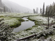 Yellowstone National park