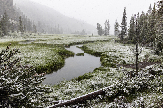 Yellowstone National park