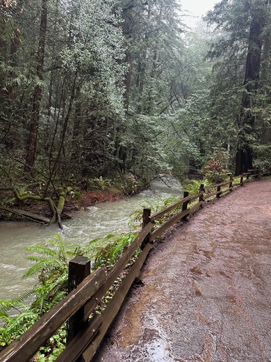 Muir Woods National Monument