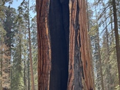 Sequoia National Park