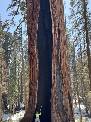 Sequoia National Park