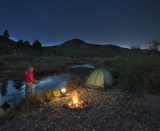 Humboldt-Toiyabe National Forest