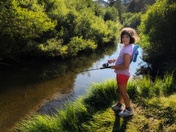 Eldorado National Forest