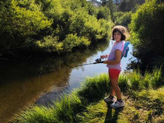 Eldorado National Forest