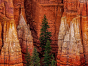 Bryce Canyon National Park
