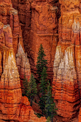 Bryce Canyon National Park
