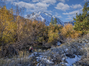 Inyo National Forest