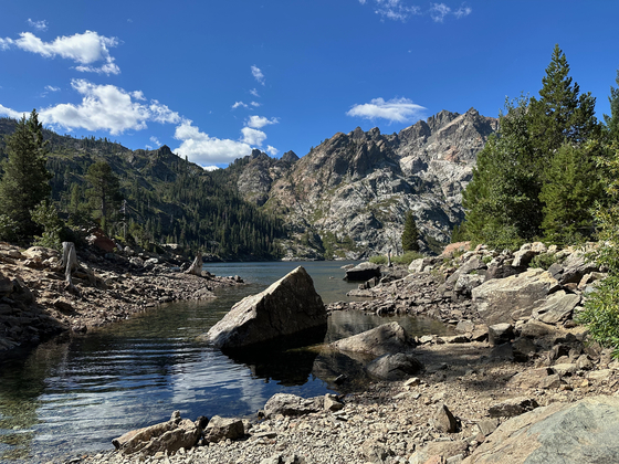 Tahoe National Forest 