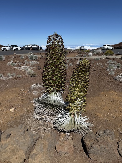 Haleakala National Park 