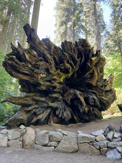 Sequoia National Park