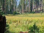 Sequoia National Park