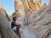 Joshua Tree National Park