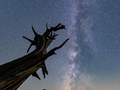 Inyo National Forest