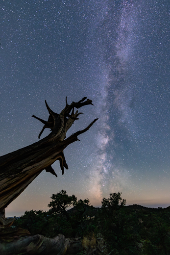 Inyo National Forest