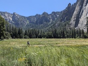 Yosemite National Park