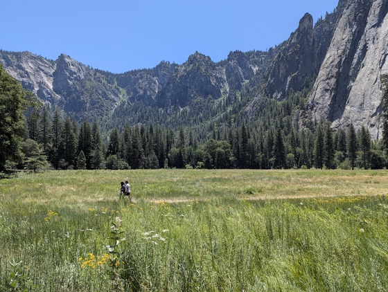 Yosemite National Park