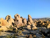 Joshua Tree National Park