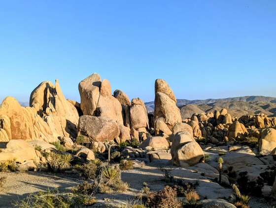 Joshua Tree National Park