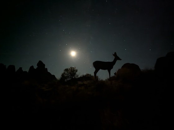 Arches National Park
