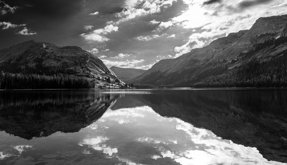 Yosemite National Park