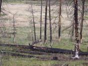 Rocky mountain National Park 