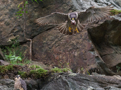 Chesapeake & Ohio Canal National Historical Park
