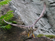 Chesapeake & Ohio Canal National Historical Park