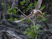 Chesapeake & Ohio Canal National Historical Park