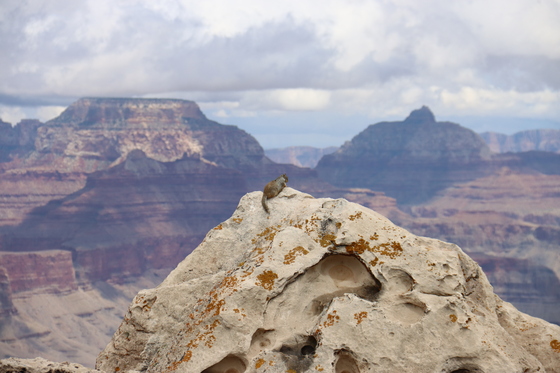 Grand Canyon National Park 