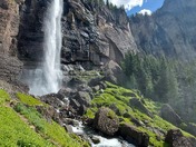 Uncompahgre National Forest