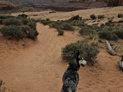  Corona Arch Trail