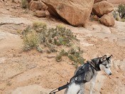  Corona Arch Trail