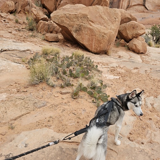  Corona Arch Trail