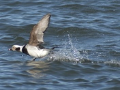 Gateway National Recreation Area