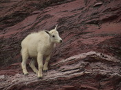 Glacier National Park