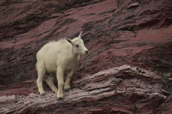 Glacier National Park