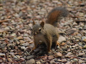 Glacier National Park
