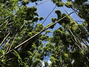 Haleakalā National Park