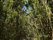 Haleakalā National Park