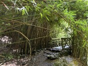 Haleakalā National Park