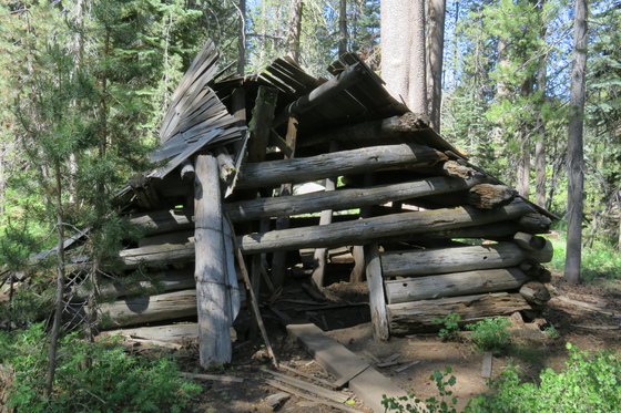 Yosemite National Park