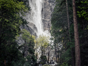Yosemite National Park